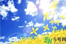 秋季润肺的食物和水果,冬季吃什么水果润肺