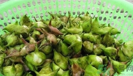 菱角的最佳吃法和做法,菱角好吃的做法