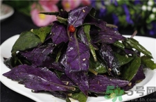 紫背天葵的营养价值,紫贝天葵子的功效