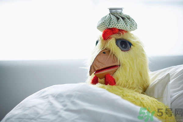 感冒不宜吃的食物,肾结石不宜吃的食物