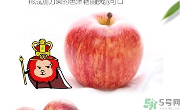 姬娜果产地 姬娜果产地