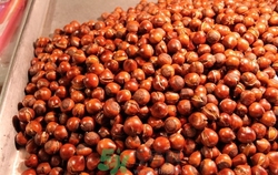 野生板栗和普通板栗的区别,野生板栗和种植板栗有什么区别