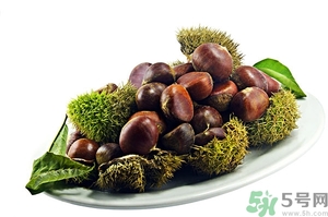 板栗制作方法视频,板栗泡酒的正确做法 板栗制作方法视频,板栗泡酒的正确做法