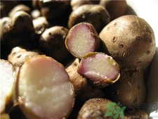 山药豆怎么吃好吃又简单,山药豆怎么吃法和做法视频