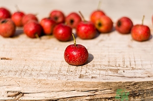 山楂吃多了的坏处,山楂吃多了对身体有什么影响