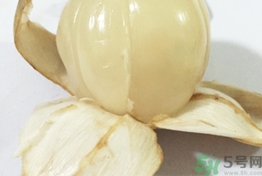 龙宫果的功效和作用,龙宫果的功效和作用及禁忌 龙宫果的功效和作用,龙宫果的功效和作用及禁忌