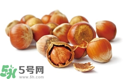 榛子怎么挑选,榛子树长什么样