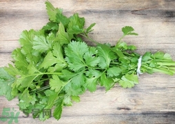 香菜拌洋葱的做法,洋葱拌香菜的做法窍门