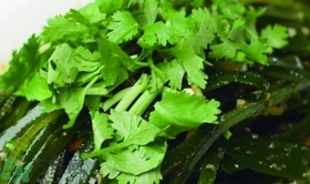 海带拌菜的做法大全,海带可以和香菜一起凉拌吗