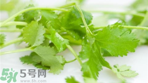 怎么保存香菜放得更长久,香菜怎么存放才能保存更久