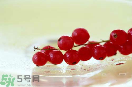 蔓越莓的营养价值及功效和作用,蔓越莓干的作用