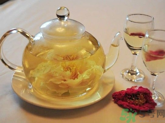 专家建议卧室内不要摆放过多绿色植物的主要原因是,专家建议几岁学武术 专家建议卧室内不要摆放过多绿色植物的主要原因是,专家建议几岁学武术