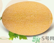 哈密瓜榨汁方法,哈密瓜怎么榨汁