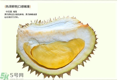 榴莲的食用禁忌有哪些,吃榴莲有什么禁忌 榴莲的食用禁忌有哪些,吃榴莲有什么禁忌