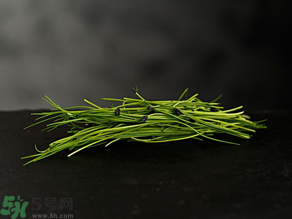 韭菜营养价值是什么,韭菜营养价值及功效和作用禁忌 韭菜营养价值是什么,韭菜营养价值及功效和作用禁忌