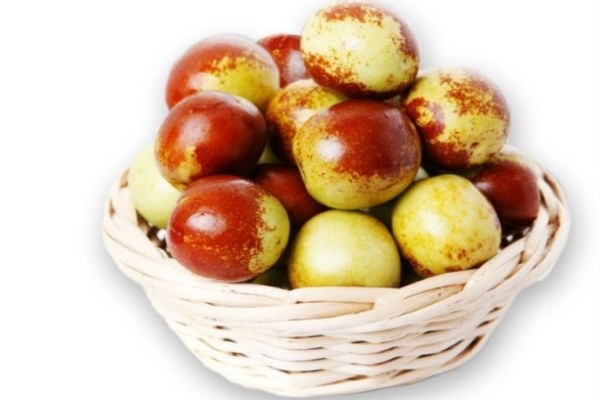 为什么枣子吃了拉肚子,为什么吃了枣子会拉肚子