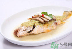 孕妇能吃鱼泡吗,对身体有没有伤害?,孕妇能吃鱼吗?