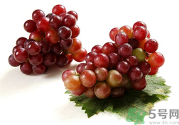 提子表面的白霜可以吃吗,提子外面的白霜是什么