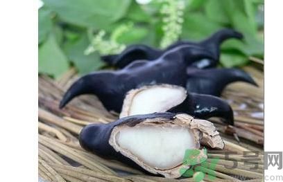 煮菱角怎么煮,煮菱角的方法