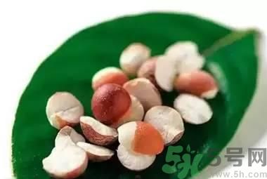 芡实米怎么吃对什么好,芡实秋冬季还能吃吗 芡实米怎么吃对什么好,芡实秋冬季还能吃吗