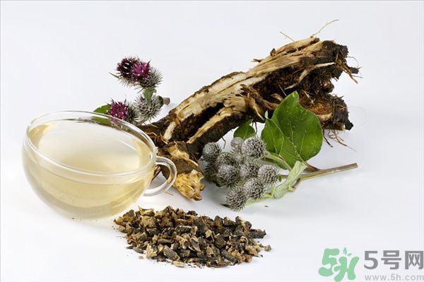 牛蒡茶的17种功效,牛蒡茶的用处