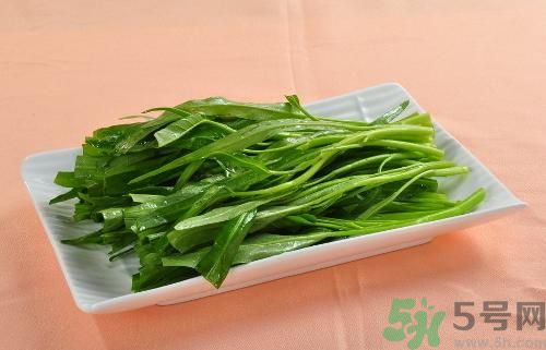 空心菜有哪些营养价值,空心菜有什么营养价值 空心菜有哪些营养价值,空心菜有什么营养价值