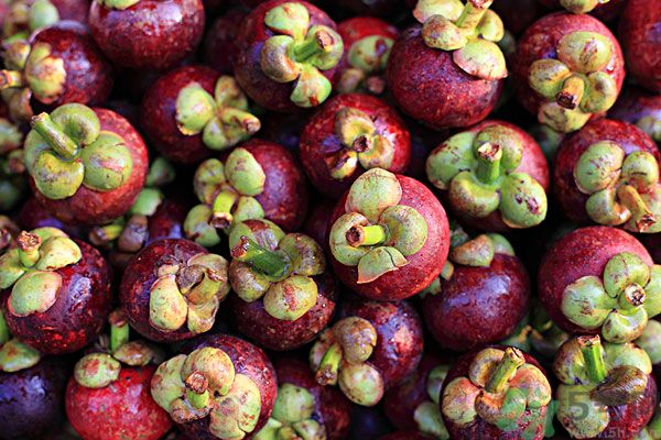 吃山竹需要注意什么,吃山竹的禁忌