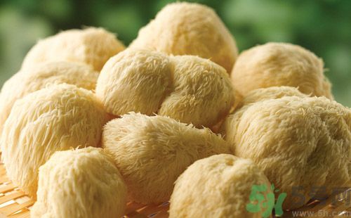 猴头菇的食用方法有哪些,猴头菇的食用方法和禁忌