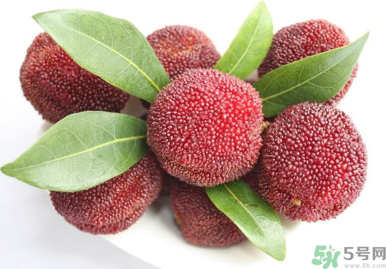 高血压可以吃杨梅吗,高血压能吃杨梅干吗 高血压可以吃杨梅吗,高血压能吃杨梅干吗