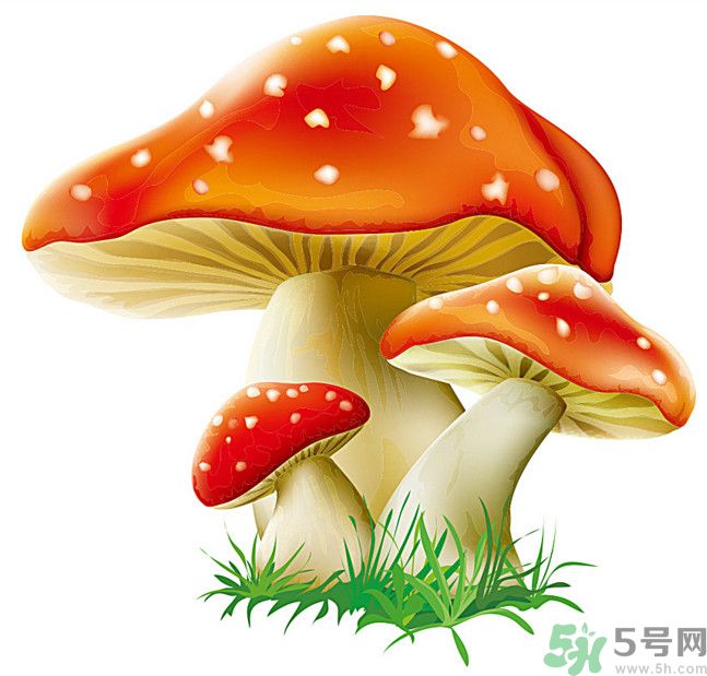 吃蘑菇中毒的症状菇中毒吃啥解毒快,吃蘑菇中毒的症状多久能过去 吃蘑菇中毒的症状菇中毒吃啥解毒快,吃蘑菇中毒的症状多久能过去