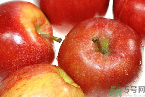 果蜡是什么,果蜡的主要成分