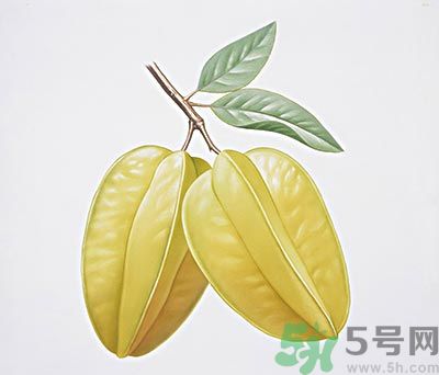 吃杨桃的注意事项,吃杨桃需要注意什么