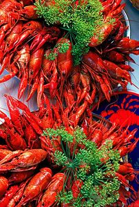 油焖大虾的做法,做油焖大虾的方法