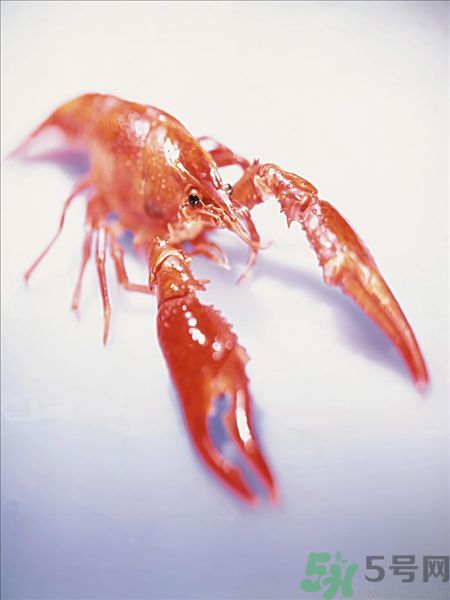 龙虾咋洗 方法,龙虾怎么洗简单又干净