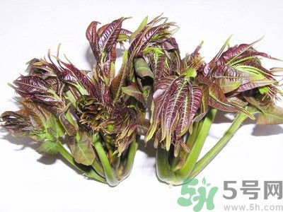 香椿的好处,香椿的好处和坏处