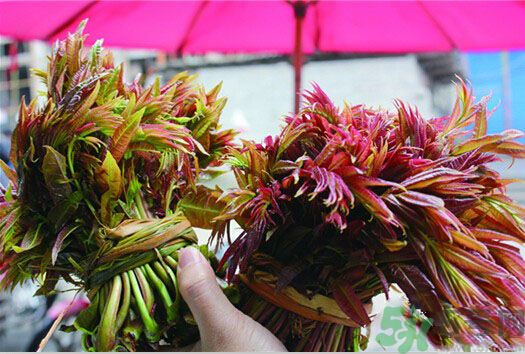 吃的安全还是吃得安全,吃什么是最安全的呢