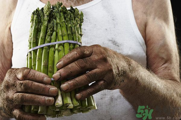 芦笋的相宜和相克食物,芦笋和什么相克