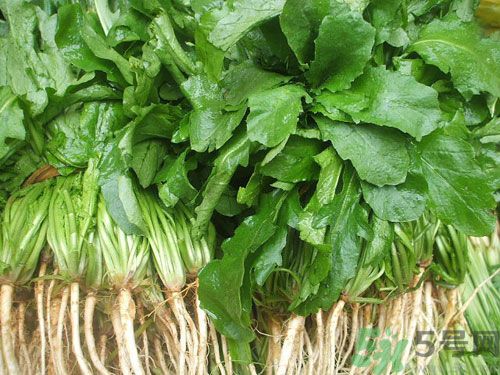 如何判断是不是发物,到底什么是发物