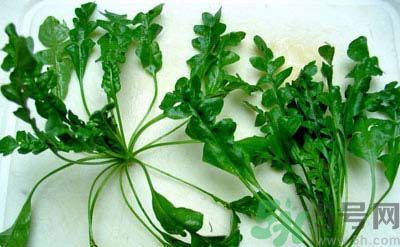 台湾网友讨论,相关负责人讨论 台湾网友讨论,相关负责人讨论