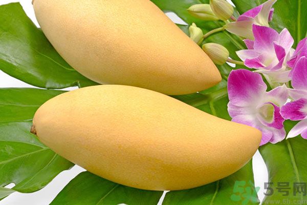 吃芒果过敏的症状图片,吃白果过敏有哪些症状