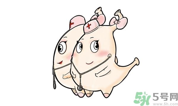 胃不好吃什么养胃最好,胃不好吃什么养胃又补胃