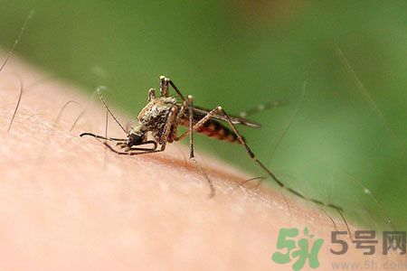 什么病不能吃黄皮水果,上火能吃黄桃吗