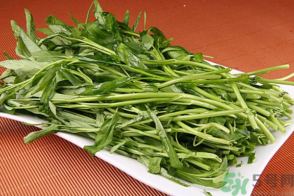 空心菜的挑选方法,空心菜的挑选