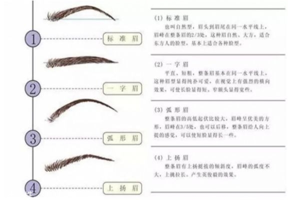 画眉毛怎么画才好看,如何画眉毛