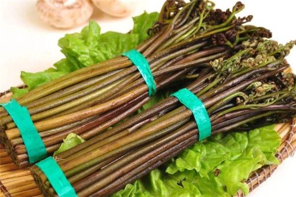蕨菜常见吃法(蕨菜的吃法)