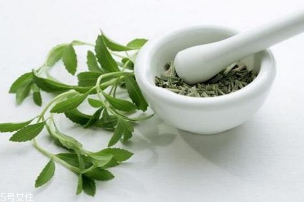 瓜子菜在市场上一般是多少钱一斤呢(瓜子在市场价多少钱一斤)