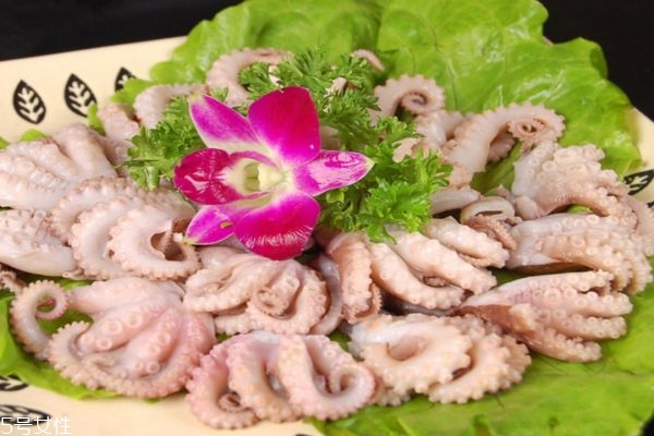 八爪鱼生活在什么地方呢(八爪鱼是生活在什么地方) 八爪鱼生活在什么地方呢(八爪鱼是生活在什么地方)