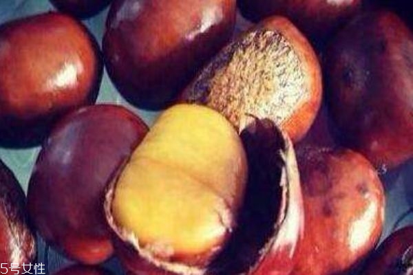 板栗有什么注意事项吗(吃板栗的注意事项) 板栗有什么注意事项吗(吃板栗的注意事项)