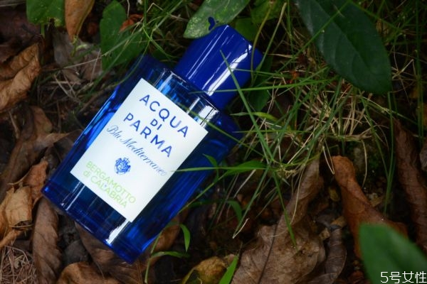 孕妇对香水有影响吗,孕妇可以使用香水吗