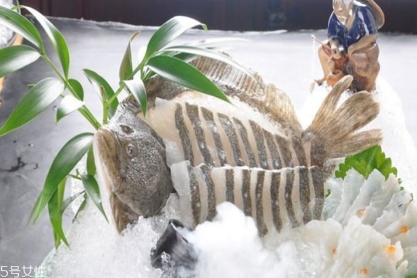 多宝鱼有什么营养价值呢(多宝鱼有啥营养价值)